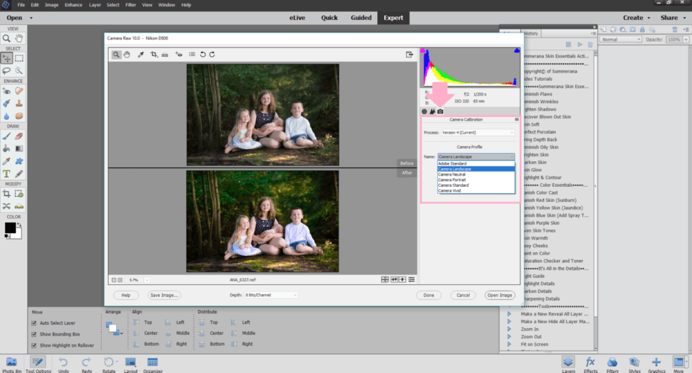 How-to-change-your-RAW-photo-to-the-same-as-the-back-of-your-camera-with-one-click-of a-button-in-photoshop-elements