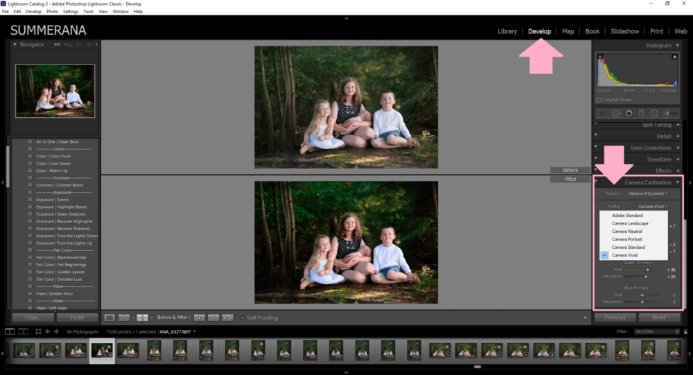 How-to-change-your-RAW-photo-to-the-same-as-the-back-of-your-camera-with-one-click-of a-button-in-lightroom