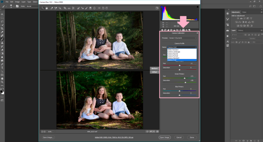 How-to-change-your-RAW-photo-to-the-same-as-the-back-of-your-camera-with-one-click-of a-button-in-photoshop