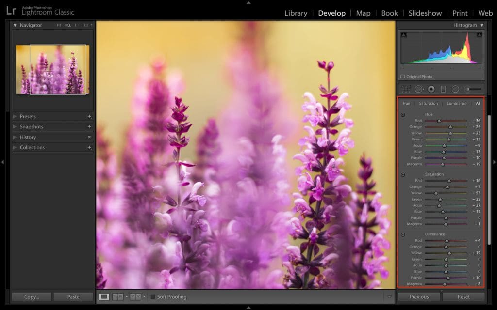8-key-tools-you-should-be-familiar-with-in-lightroom-classic-hsl-color