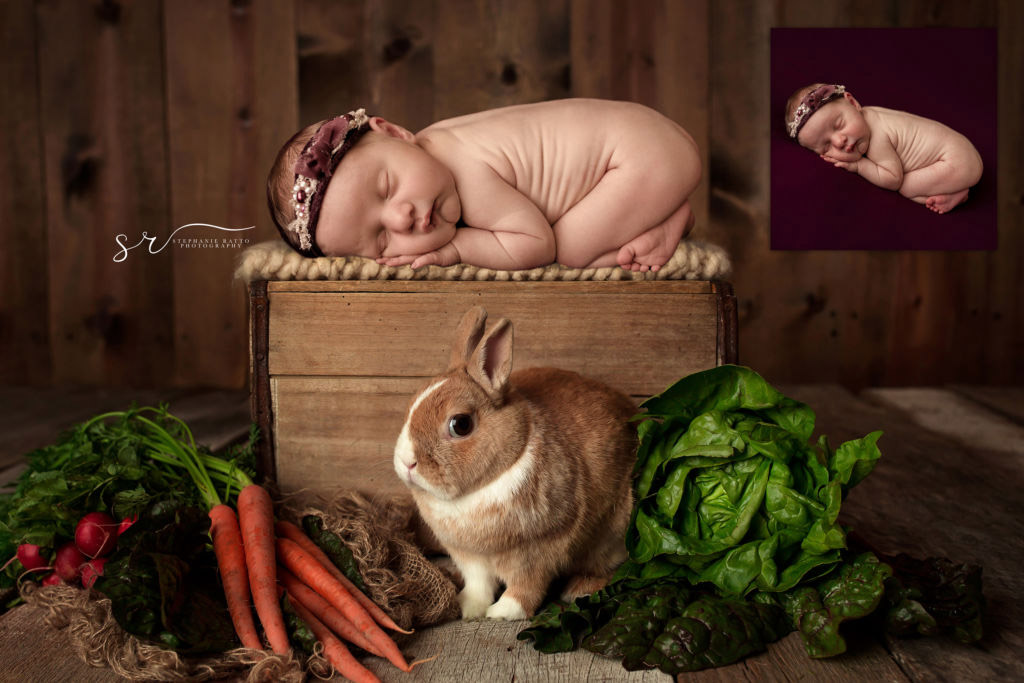 easter-Newborn-digital-background-for-photographers