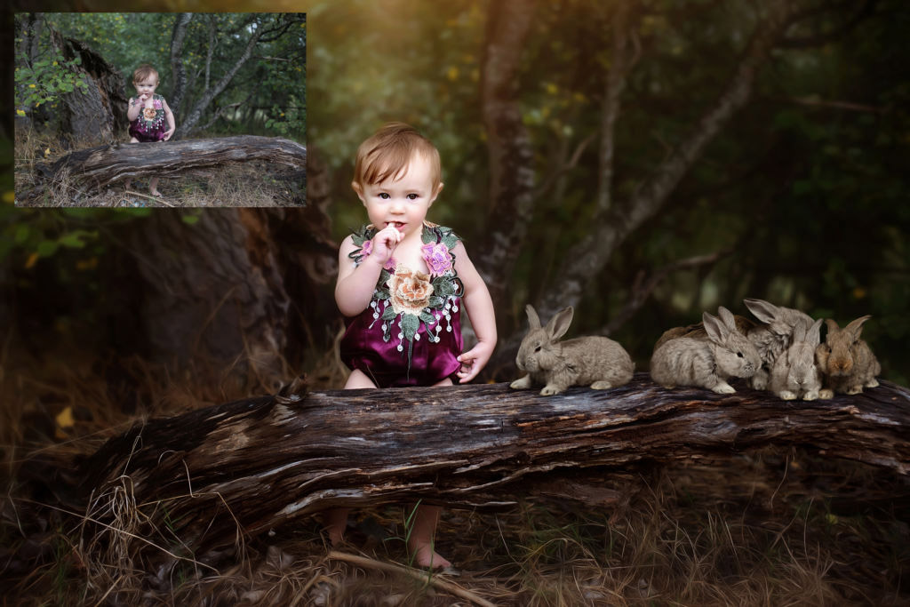 easter-bunny-overlays-for-photographers