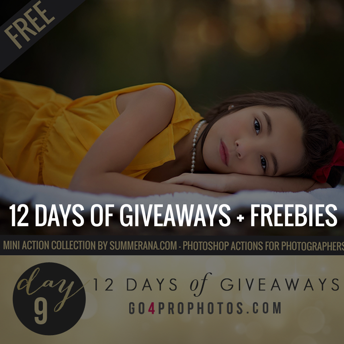 photography giveaway