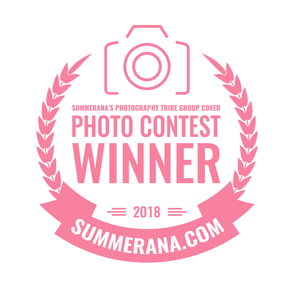 summerana-photoshop-actions-for-photographers-group-cover-photo-contest-winner