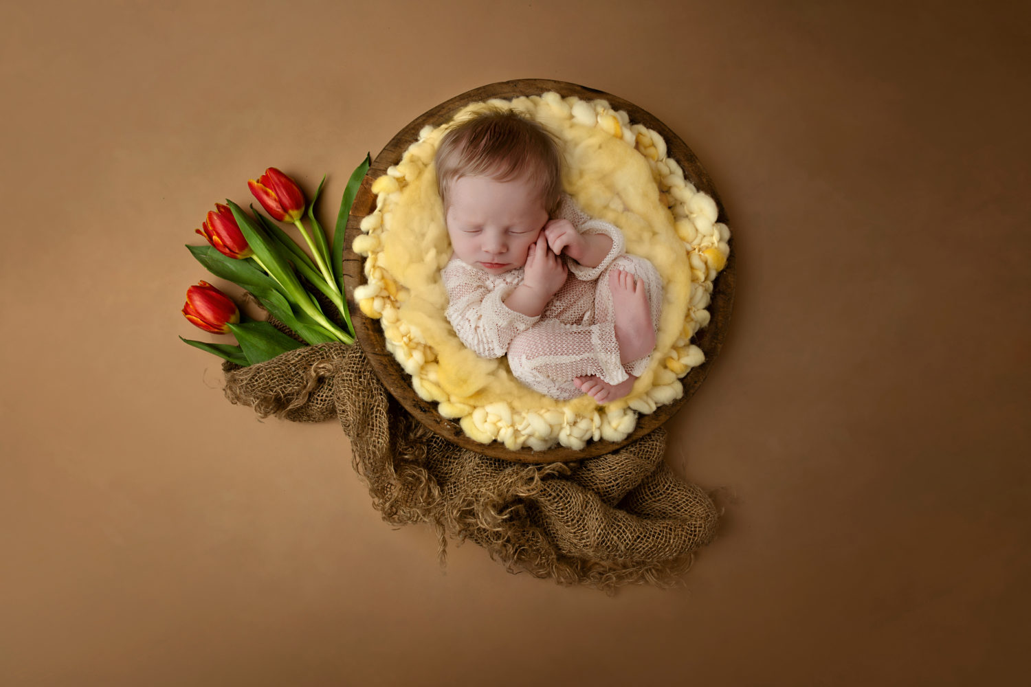 Newborn-digital-background-for-photographers-purebaby-photography